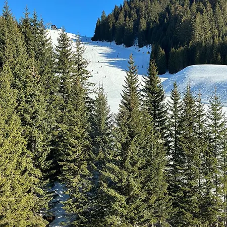 Das View Berwang